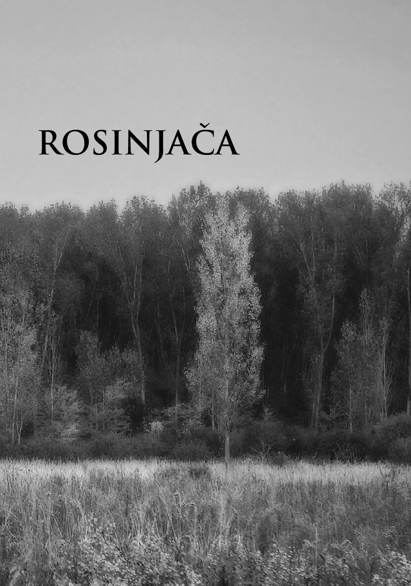 Rosinjača